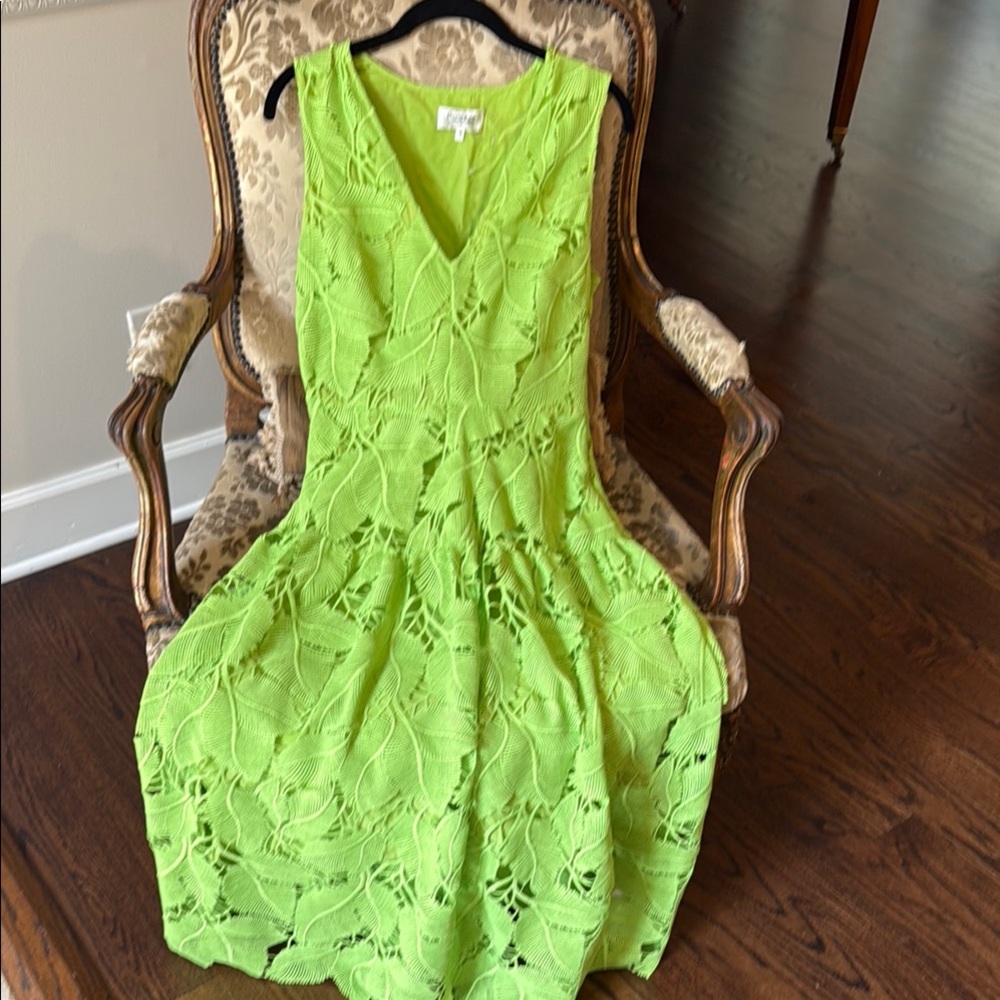 Elegant Green Lace Dress